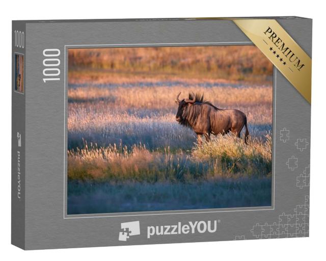 Puzzle 1000 Teile „Streifengnu im Abendlicht der Kalahari-Savanne“