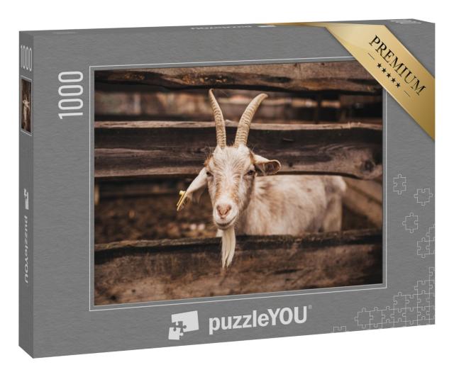 Puzzle 1000 Teile „Ziege, die auf dem Bauernhof lebt “