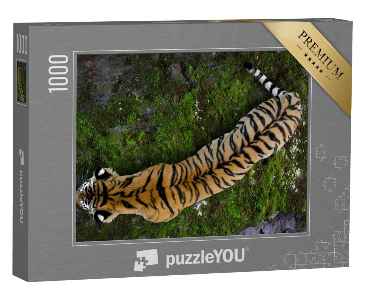 Puzzle 1000 Teile „Ussuritiger, der nördlichste Tiger“