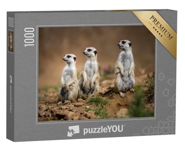 Puzzle 1000 Teile „Wachsame Erdmännchen “