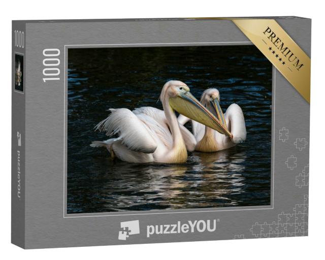Puzzle 1000 Teile „Der Weiße Pelikan, auch bekannt als Rosapelikan“