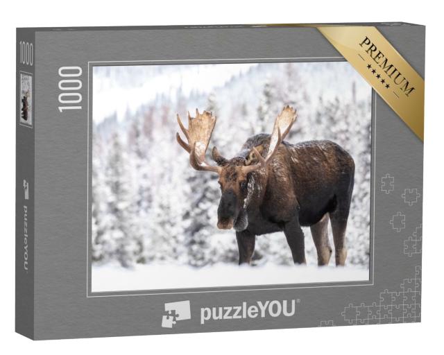 Puzzle 1000 Teile „Elch im Schnee in Jasper, Kanada“