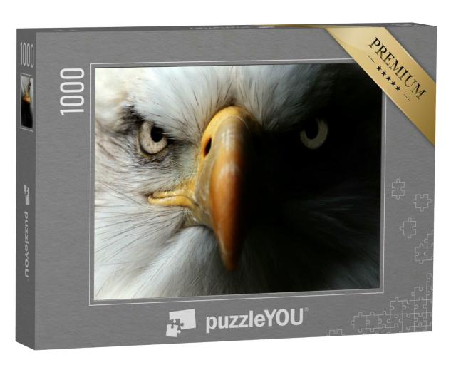 Puzzle 1000 Teile „Adler: Nahaufnahme als Portrait“