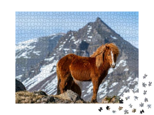 Puzzle 1000 Teile „Island-Pferd“