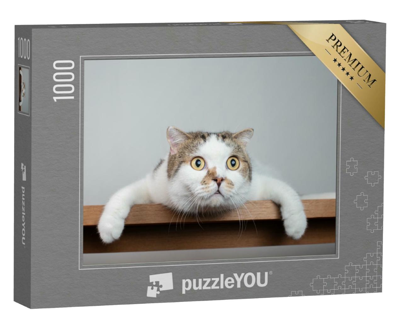 Puzzle 1000 Teile „Eine überraschte Katze“