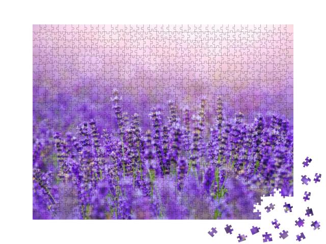 Puzzle 1000 Teile „Sonnenuntergang über einem Lavendelfeld in der Provence“