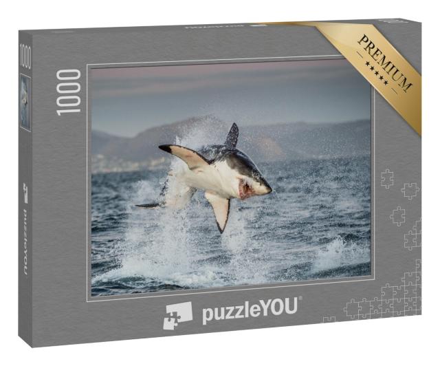 Puzzle 1000 Teile „Weißer Hai“