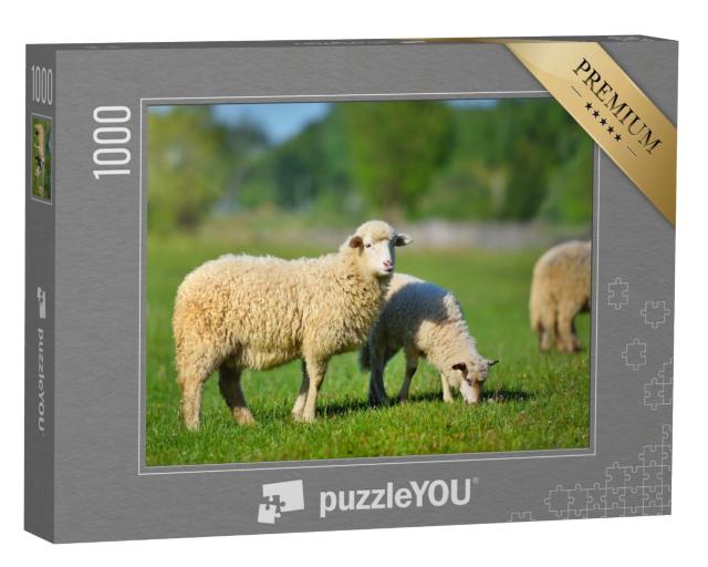 Puzzle 1000 Teile „Zwei junge weiße Schafe auf einer Wiese im grünen Gras“