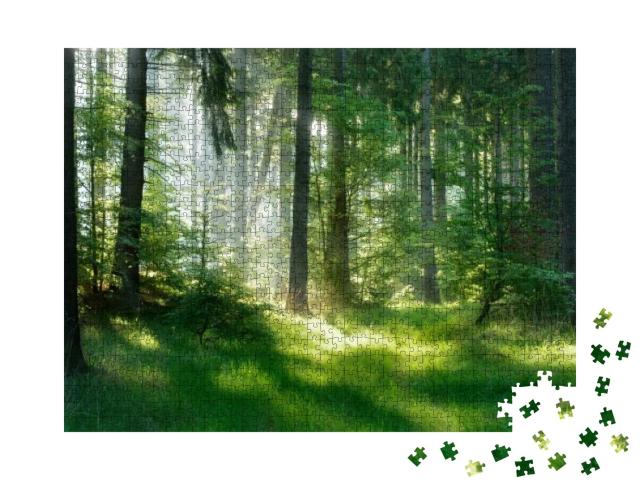 Puzzle 1000 Teile „Eine mystische Atmosphäre im Fichtenwald“