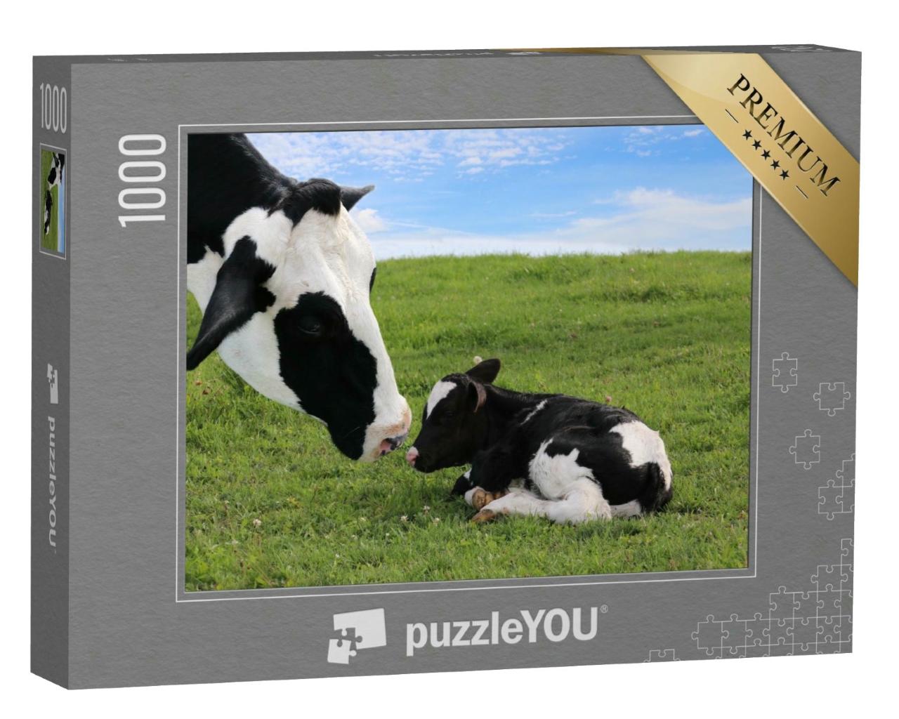 Puzzle 1000 Teile „Holstein-Mutterkuh mit ihrem neugeborenen Kalb“