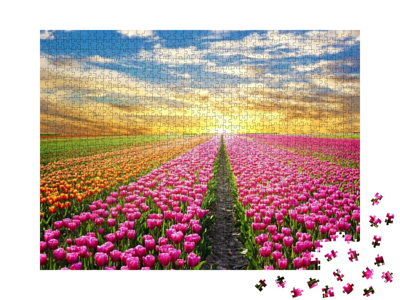 Puzzle 1000 Teile „Unendliche Tulpenfelder in den Niederlanden“