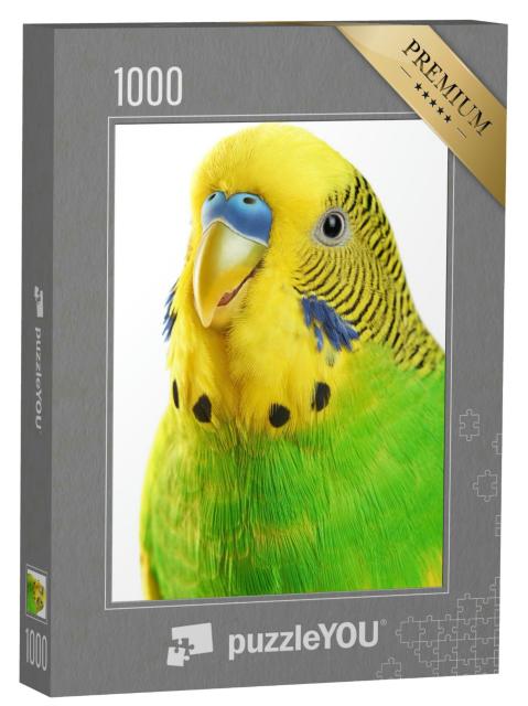 Puzzle 1000 Teile „Porträt eines gelbgrünen Wellensittichs“
