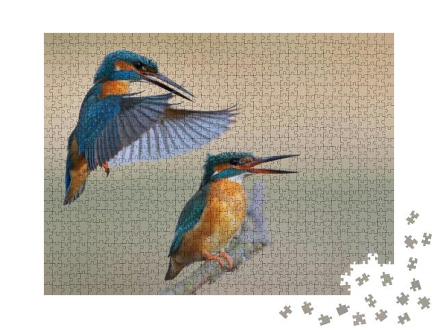 Puzzle 1000 Teile „Eisvogel“