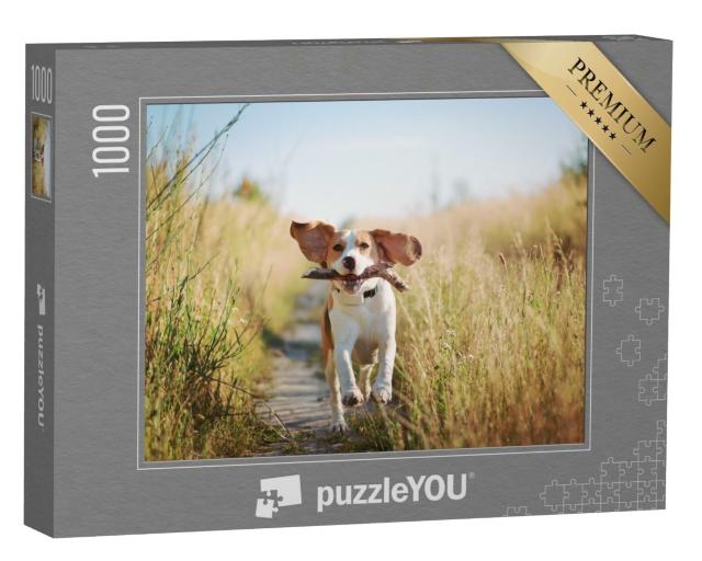 Puzzle 1000 Teile „Ein Beagle mit einem Stöckchen“