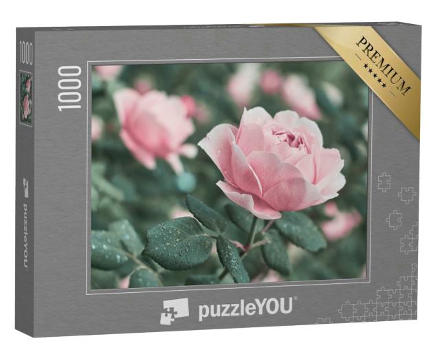 Puzzle 1000 Teile „Rosa Rosen in der Natur“