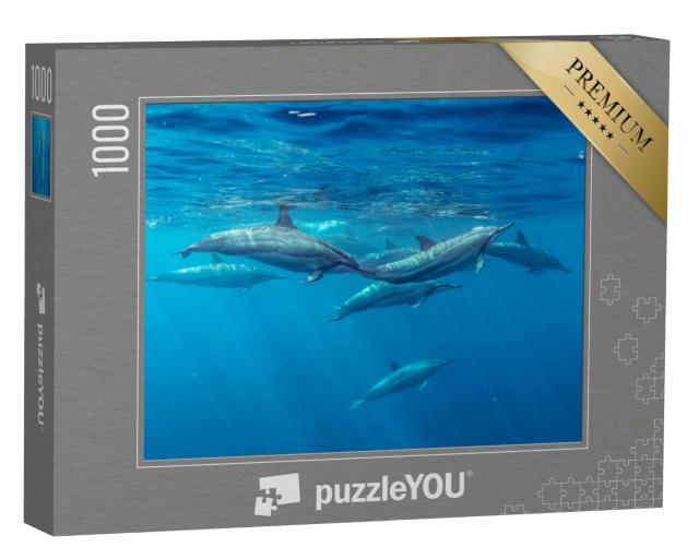 Puzzle 1000 Teile „Spinnerdelfine, Mauritius, Indischer Ozean“