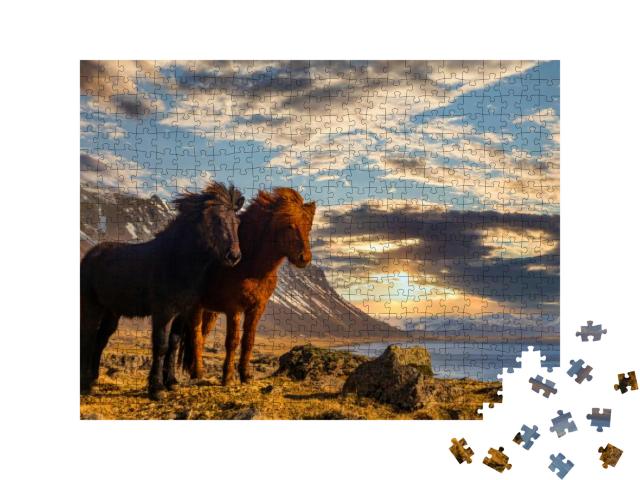 Puzzle 500 Teile „Zwei Island-Pferde an der Küste im Sonnenuntergang“