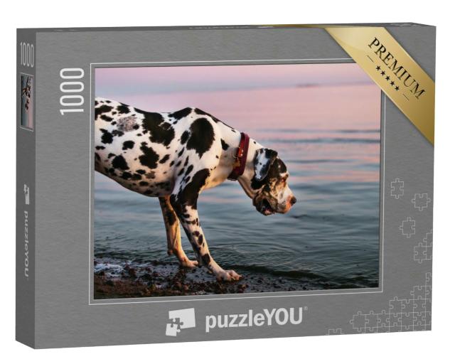 Puzzle 1000 Teile „Deutsche Dogge auf dem Abendspaziergang“