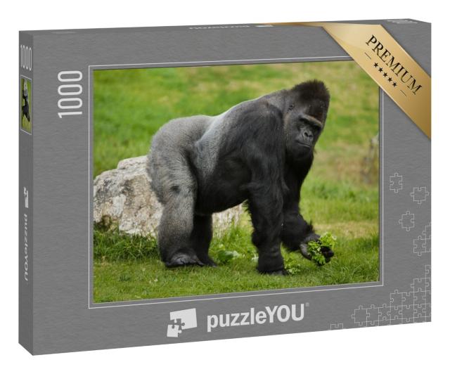 Puzzle 1000 Teile „Westlicher Flachland-Gorilla“