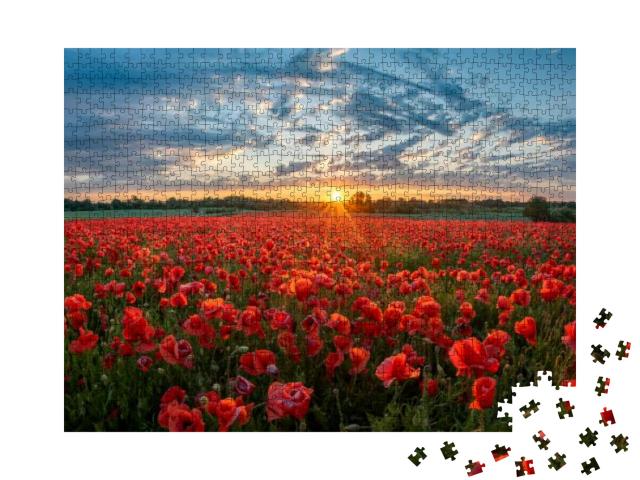 Puzzle 1000 Teile „Rotes Mohnblumenfeld“