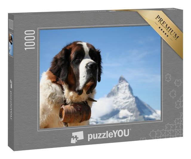 Puzzle 1000 Teile „Bernhardiner-Rettungshund vor dem Matterhorn, Zermatt, Schweiz“