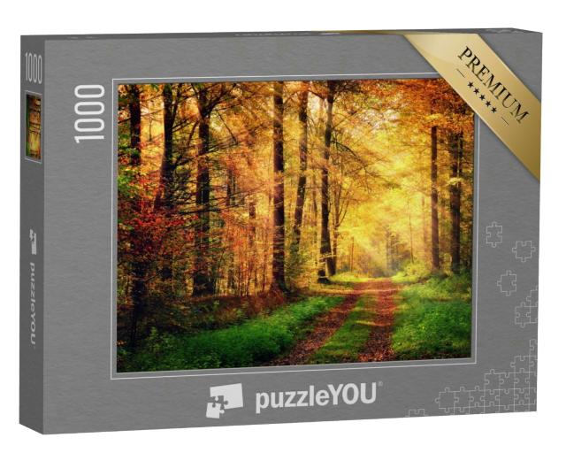 Puzzle 1000 Teile „Herbstliche Waldlandschaft mit warmen Lichtstrahlen  “