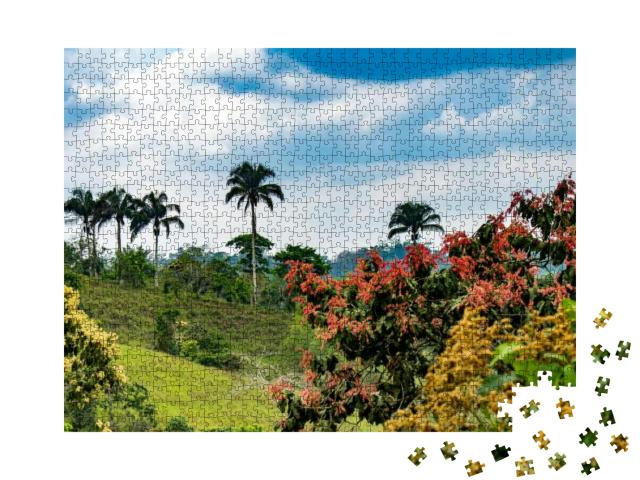 Puzzle 1000 Teile „Wilde Natur: Reservat Mashpi, Ecuador“