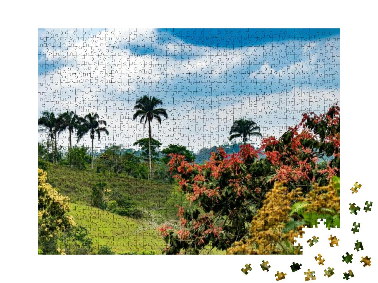 Puzzle 1000 Teile „Wilde Natur: Reservat Mashpi, Ecuador“