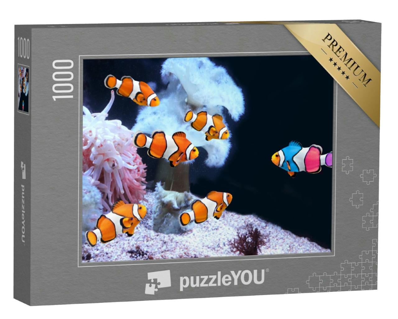 Puzzle 1000 Teile „Clownfischschwarm und ein bunter Clownfisch“