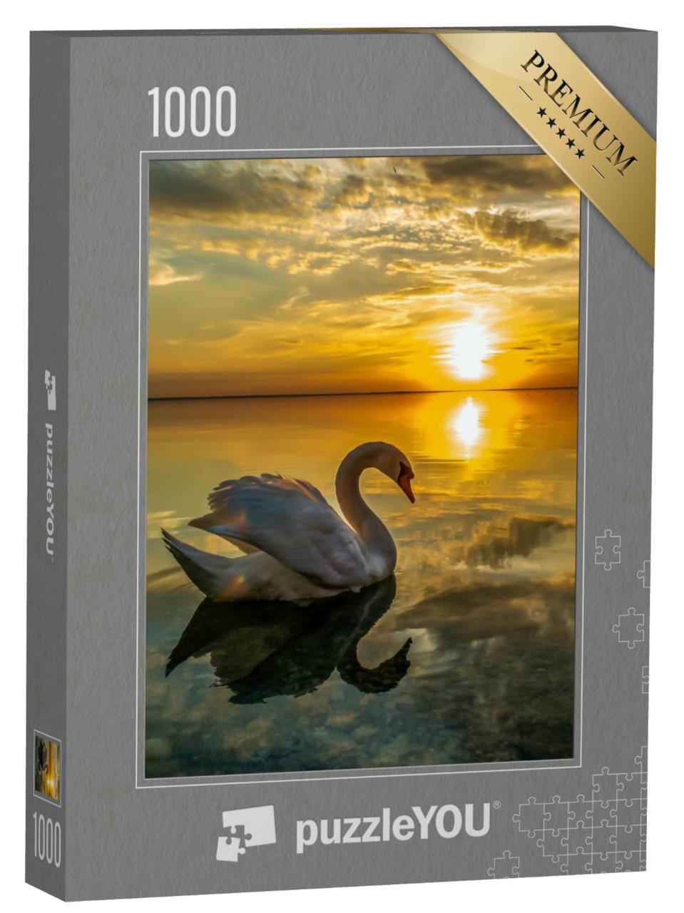Puzzle 1000 Teile „Weißer Schwan in ruhigem Wasser beim Sonnenuntergang“