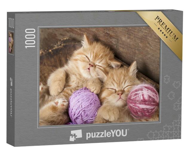 Puzzle 1000 Teile „Süße schlafende Kätzchen mit Wollknäueln“