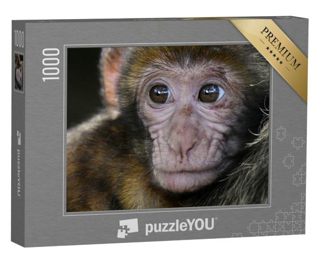 Puzzle 1000 Teile „Ein Affe“