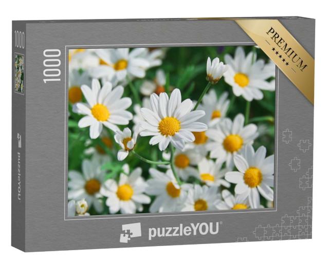 Puzzle 1000 Teile „Wunderschöne Frühlingsblumen“