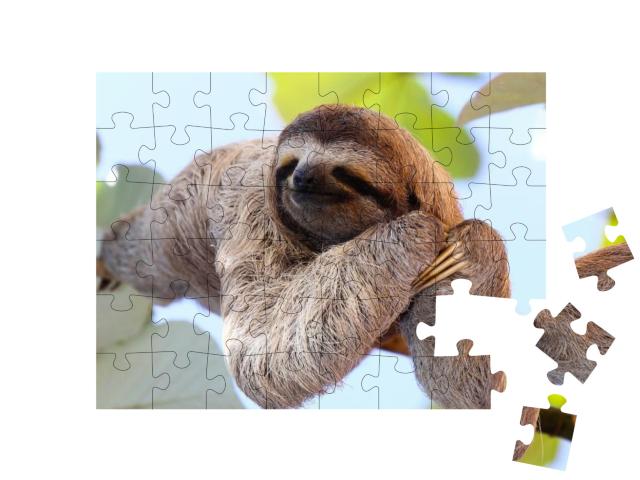 Puzzle 48 Teile „Glückliches Faultier hängt am Baum“