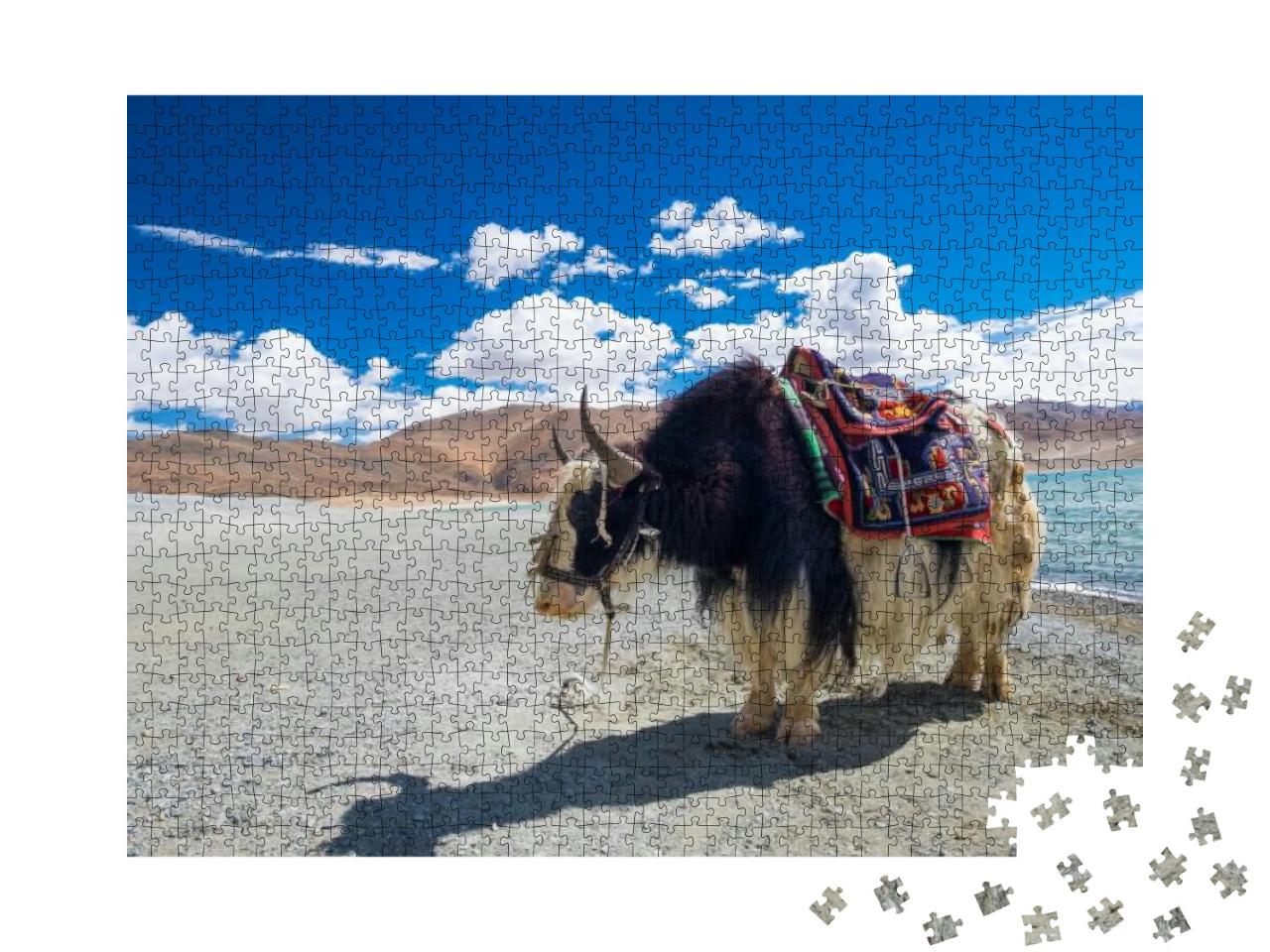 Puzzle 1000 Teile „Yak am Pangong See in Ladakh, Indien“