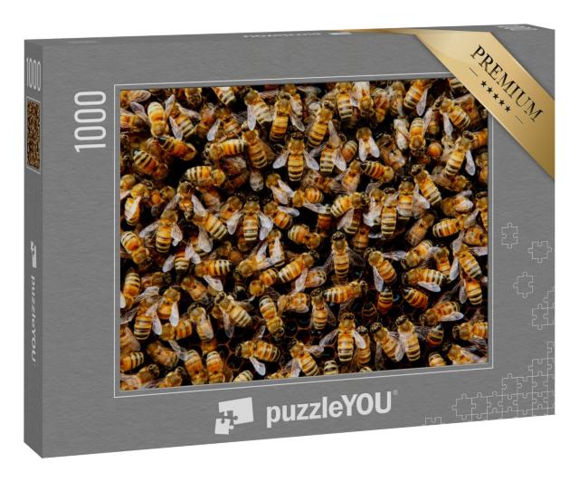 Puzzle 1000 Teile „Ein Bienenvolk versammelt sich um seine Königin“