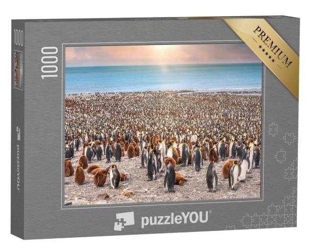 Puzzle 1000 Teile „Königspinguine am Strand von St. Andrew's Bay, South Georgia Island“