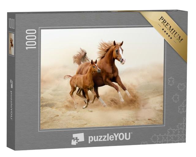 Puzzle 1000 Teile „Reinrassiges arabisches Pferd“