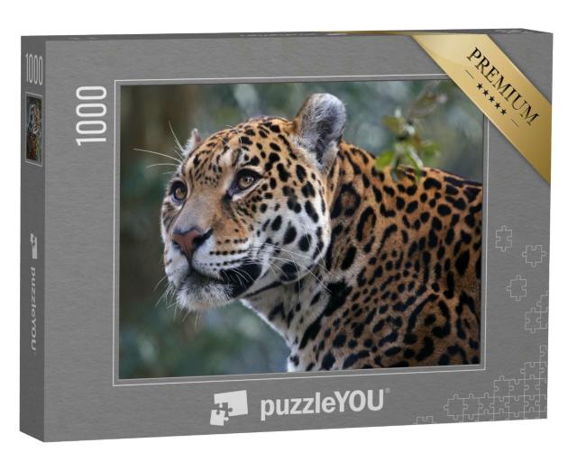 Puzzle 1000 Teile „Jaguar“