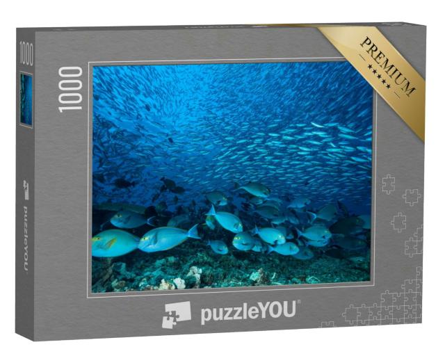 Puzzle 1000 Teile „Riesiger Schwarm blauer Doktorfische am Riff“
