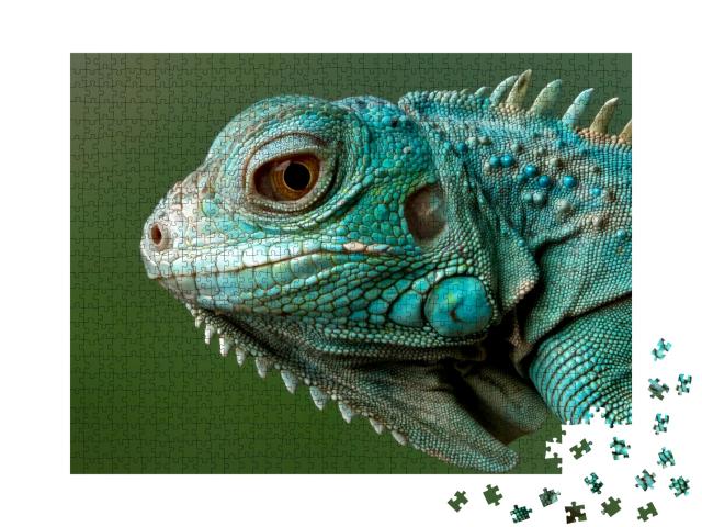 Puzzle 1000 Teile „Blauer Leguan “