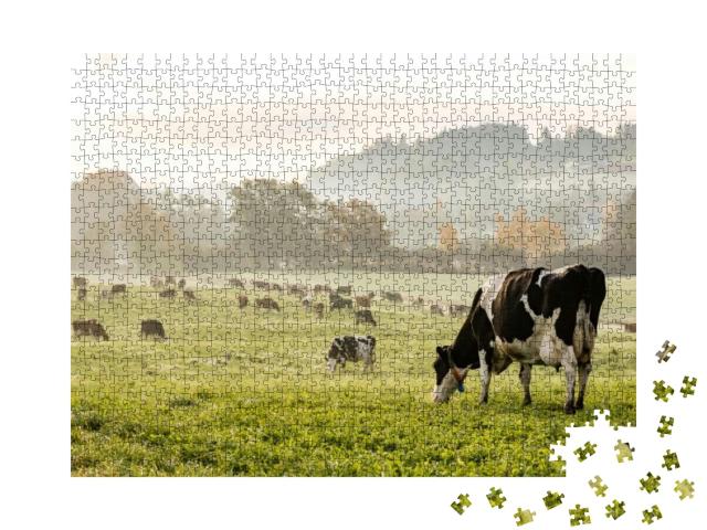 Puzzle 1000 Teile „Holsteinkühe an einem Herbstmorgen in der Schweiz“