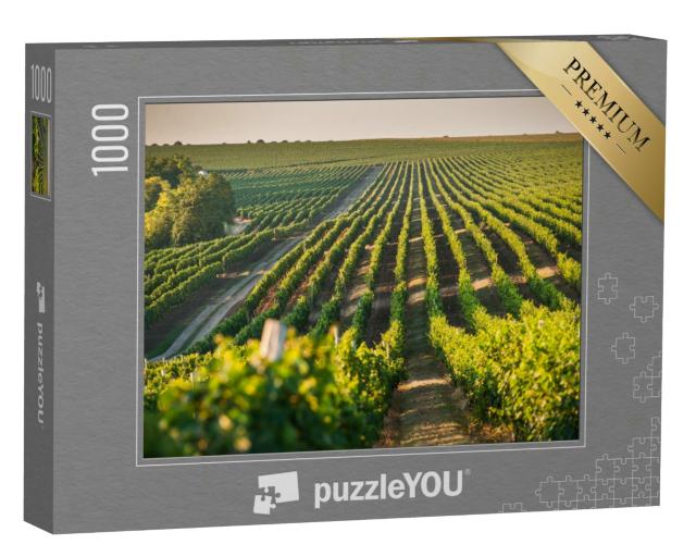 Puzzle 1000 Teile „Weinberg für den Weinanbau im Sommer“