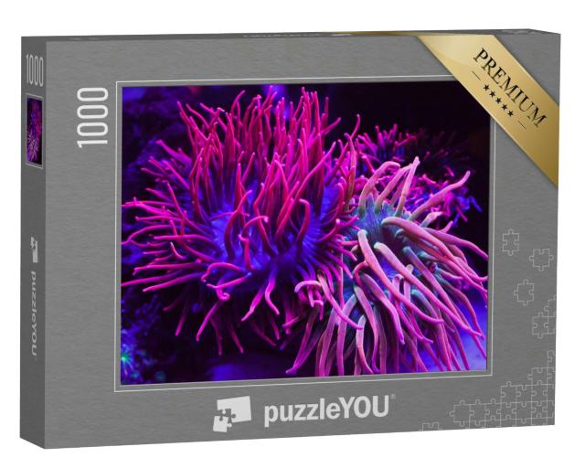 Puzzle 1000 Teile „Strahlend violette Korallen in einem Aquarium“