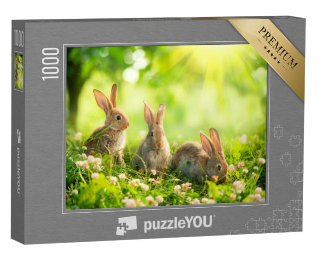 Puzzle 1000 Teile „Niedliche Kaninchen auf einer Frühlingswiese“