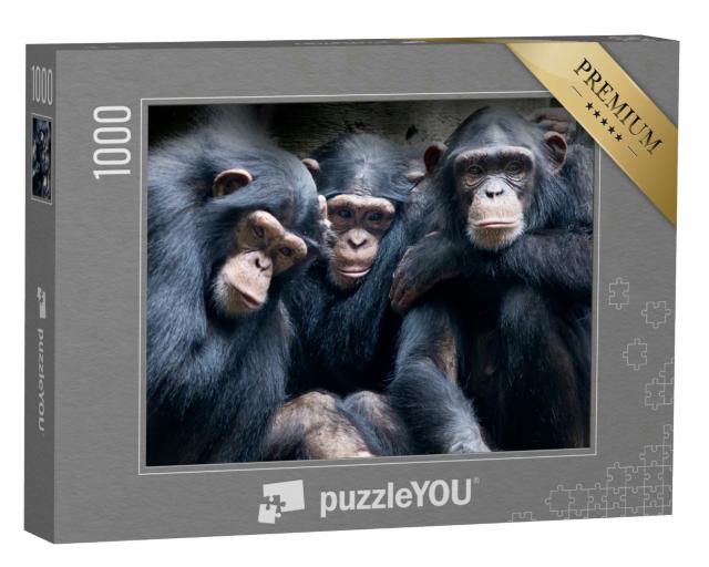 Puzzle 1000 Teile „Bonobos und Schimpansen in Afrika“