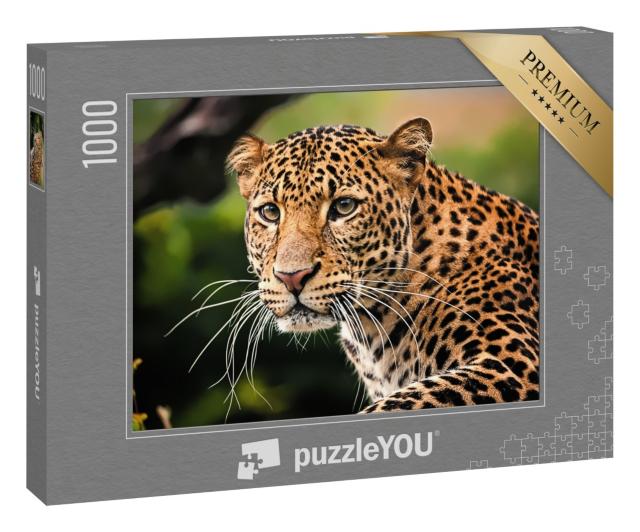 Puzzle 1000 Teile „Das Porträt des Javaleoparden“