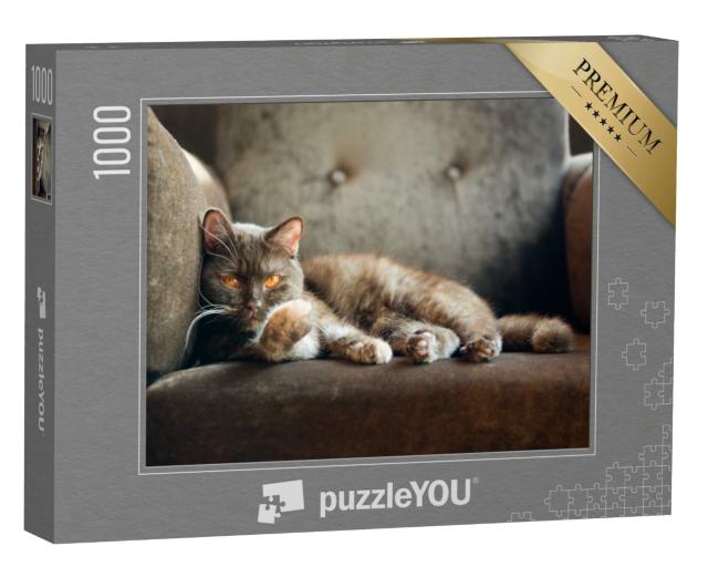 Puzzle 1000 Teile „Hauskatze auf dem Sessel“