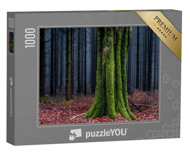 Puzzle 1000 Teile „Moosbewachsener Baumstamm im Herbstwald“