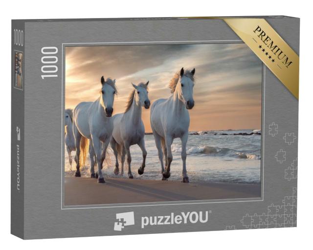 Puzzle 1000 Teile „Die weißen Pferde der Camargue, Frankreich“